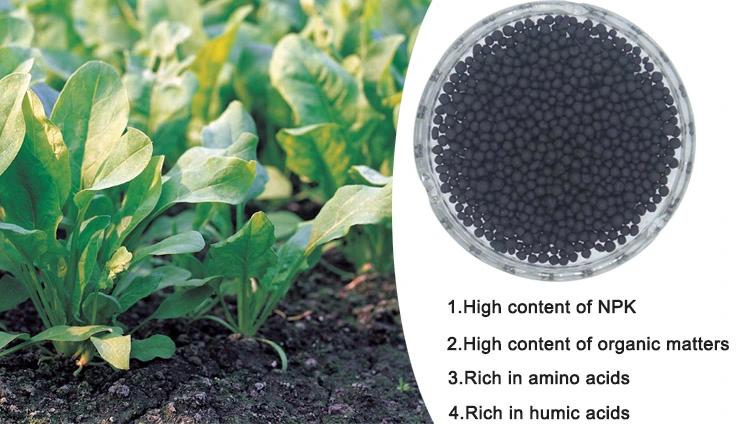 precio de fábrica de fertilizantes orgánicos fertilizante ácido Himic