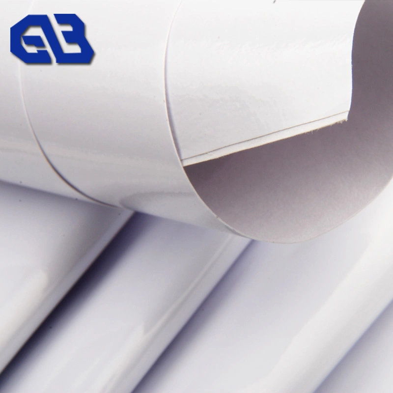 High Quality Self Adhesive Vinyl Rolls for Digital Printing