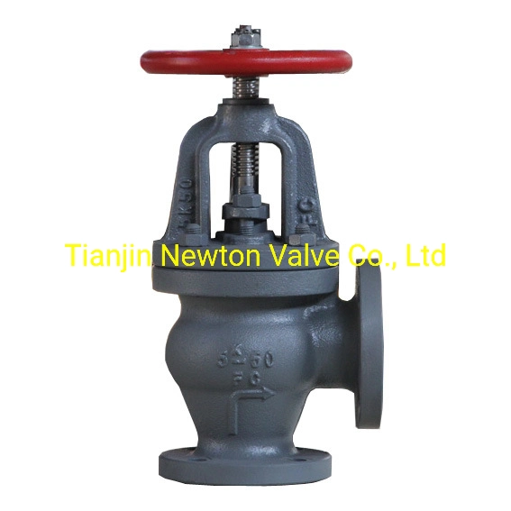 DIN JIS Metal Seat Ductile Cast Iron Double Flange Gate Globe Swing Check Valve Non-Return for Marine JIS5K 10K 16K for Marine Sea Water Steam Nrs OS&Y