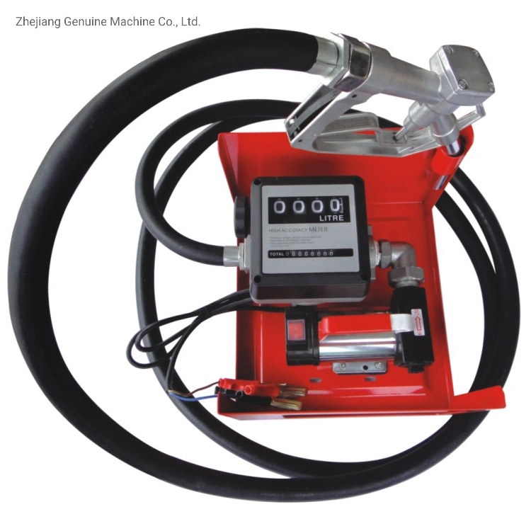 Tragbare elektrische Diesel-Kerosin-Kraftstoffpumpe AC 110V/220V mit Manuelle oder automatische Düse