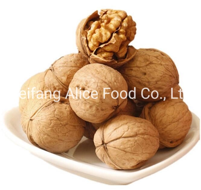 Healthy Food Snack Ingredient Walnut Kernels Walnut