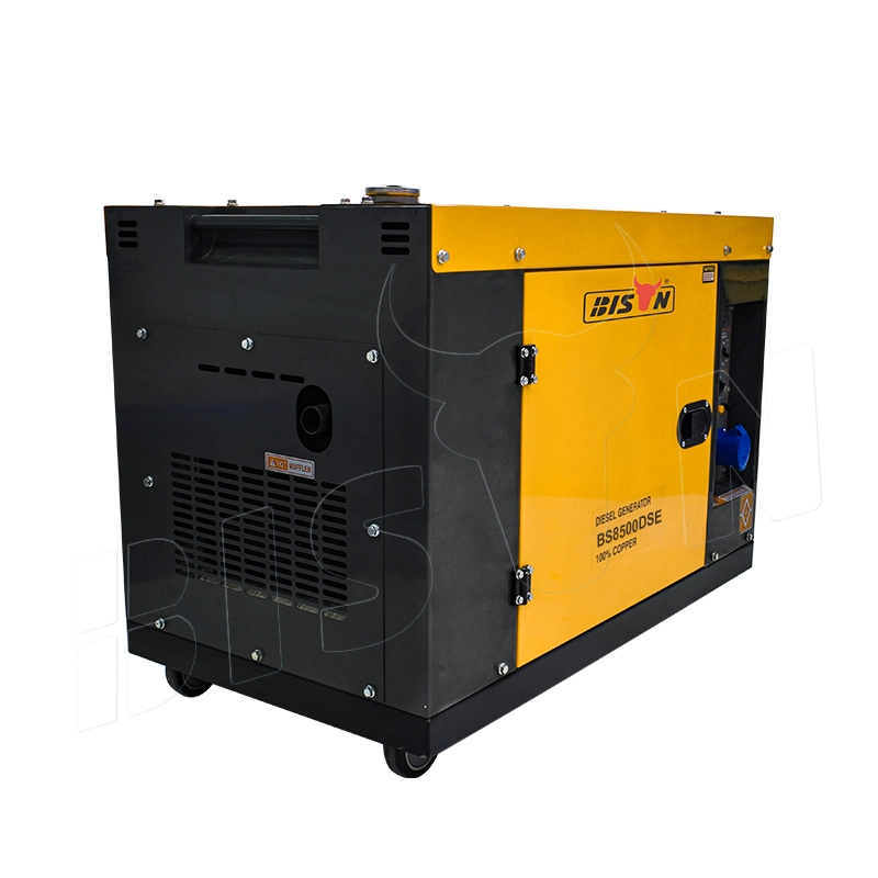 Bison (China) 7kw Diesel Generator 120V 240V Low Noise Silent Generator Set Genset