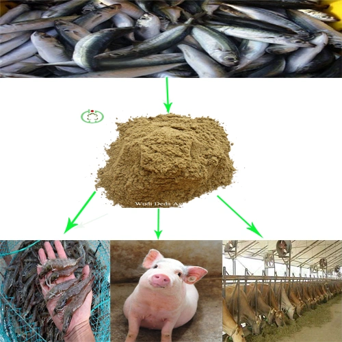 Fish Meal Animal Feed Fast Delivery