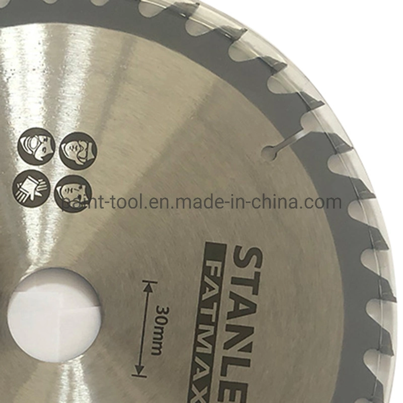 Carbide Tipped Wood Cutting 12t Tct Circular Saw Blade for Wood Chipboard