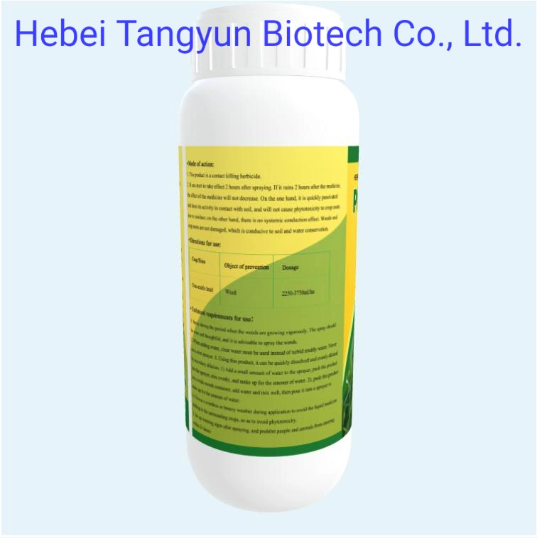 Agrochemical Pesticide Herbicide Paraqua 200g/L SL