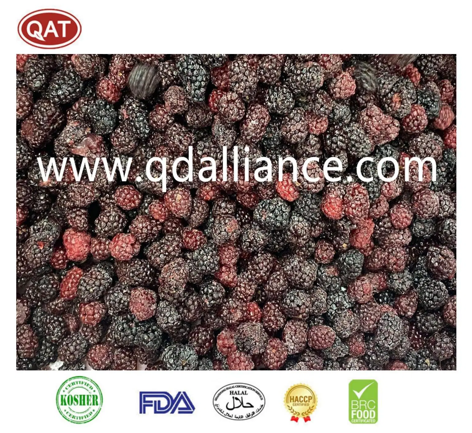 OEM Service Bulk IQF Frutas congeladas BlackBerry no OGM para Exportando
