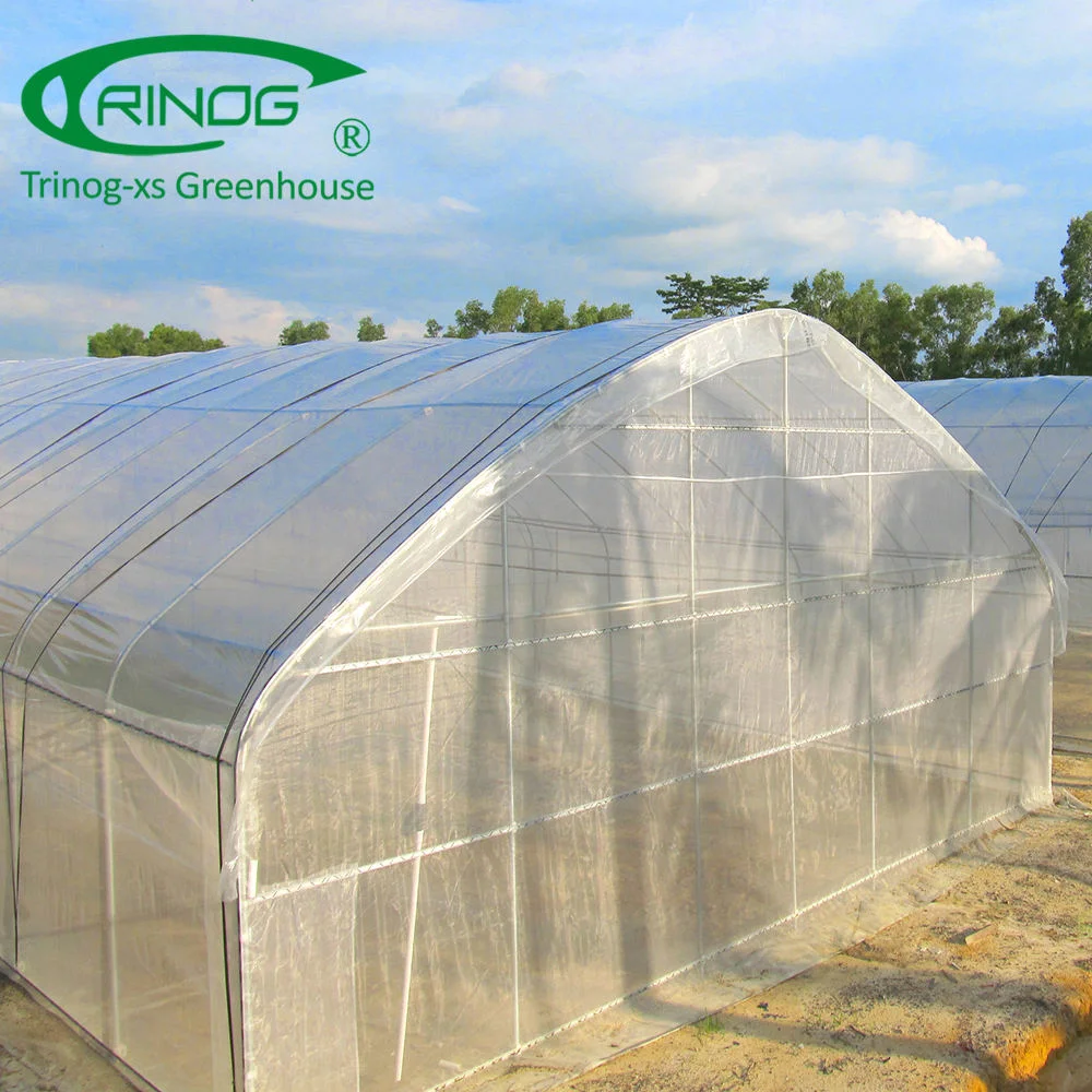 China products/suppliers Flower Vegetable Fruit Planting Farm film Green House