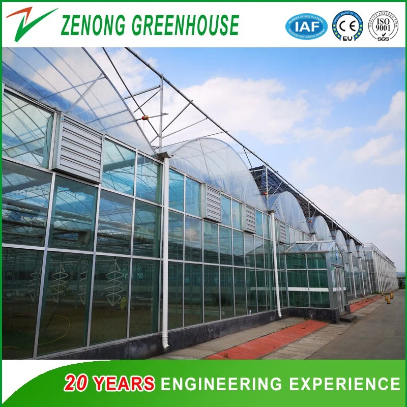 Landwirtschaft Film Gewächshaus Polycarbonat / Glas Wandfolie Dach Green House Double Schicht-luftgefüllte Foliengewächshäuser für den Mittleren Asien-Distrikt/Uz/KZ/Tkm usw.