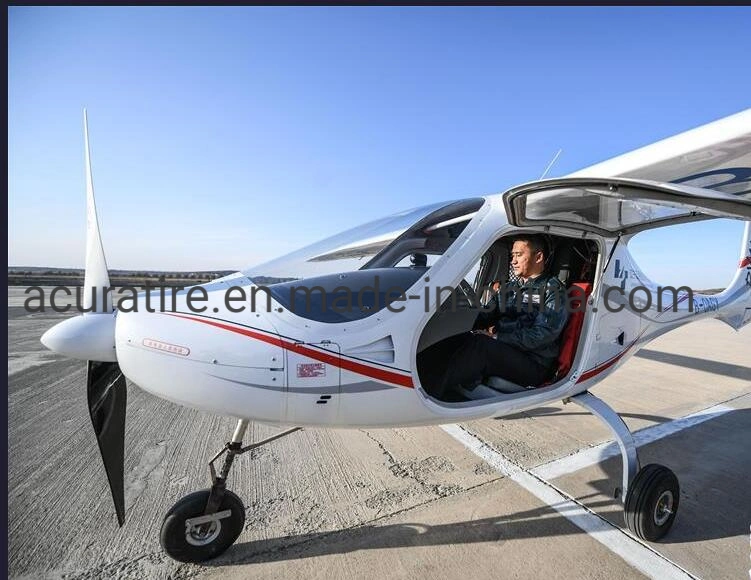 Capacitación a pequeños Avion volar los neumáticos de aire/neumático