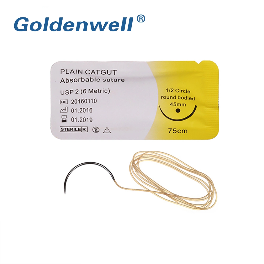 Pdo/PGA/Pgla Synthetic Absorbable Disposable Medical Suture with Needle