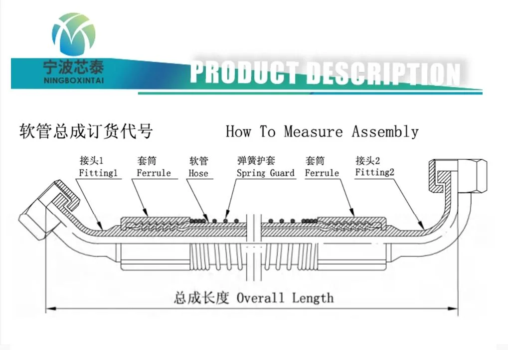 Supplier Oil-Injecting Air Compressor Spare Parts Oil Pipe Air Hose Assembly ODM OEM Fittings Tube Dealer