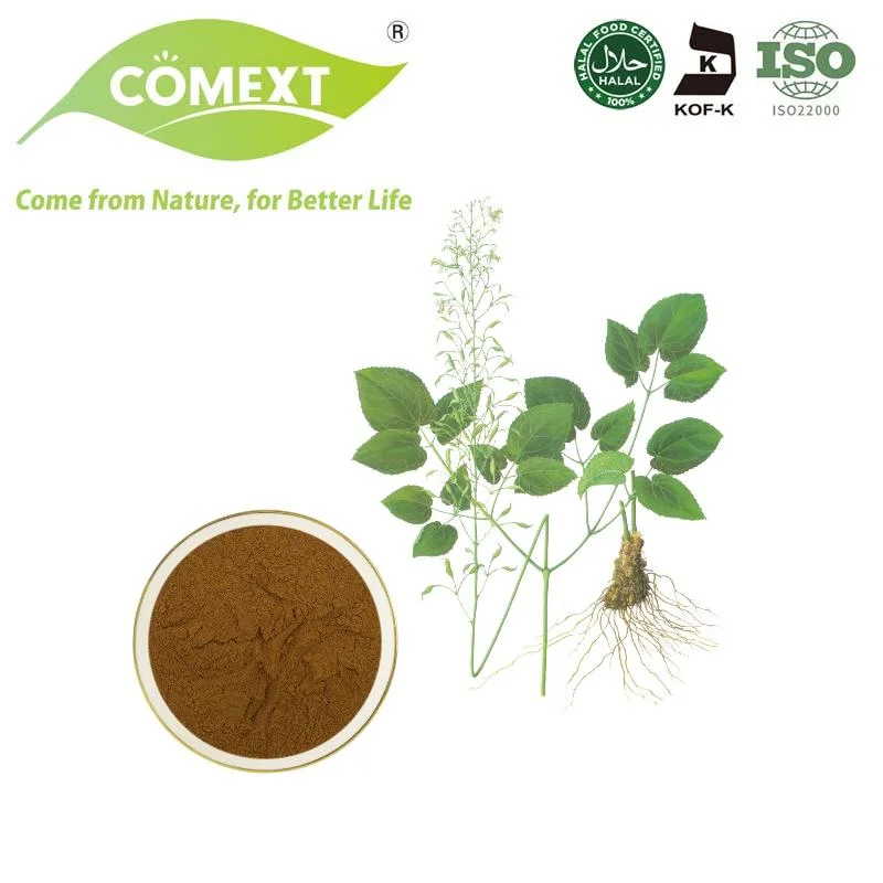 Comext bon prix Epimedium pour la vente de 25 % l'icariine Epimedium extrait de feuille de poudre