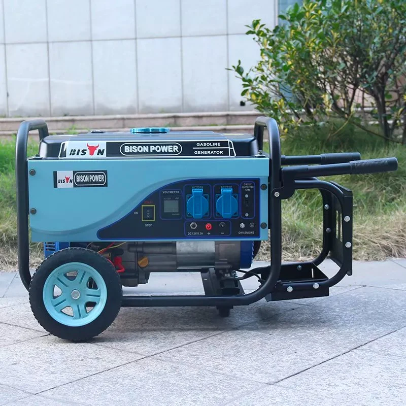 Bison Noiseless OEM Factory LPG Gas Generator