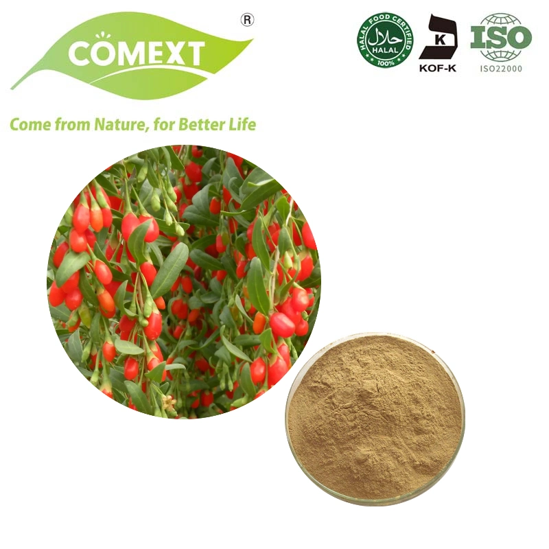 Comext Hot and Organic Product Goji Berry Extract Powder Goji Extract