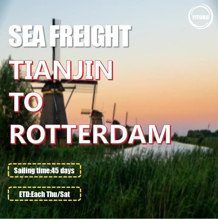 Ocean Freight Rate 20 Container From Guangzhou to Rotterdam