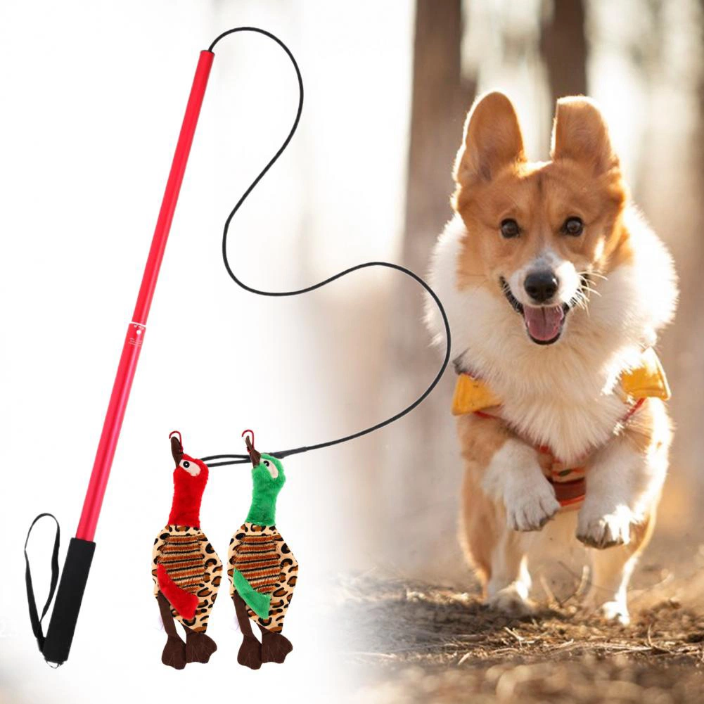 Wholesale High Quality Aluminum Outdoor Entertainment Pet Dog Flirt Pole