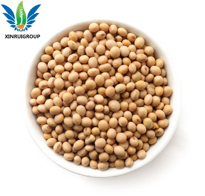 Nutrition Supplement Isolate CAS 9010100 Soy Protein Wholesale/Supplier High quality/High cost performance  Isolated Soy Protein