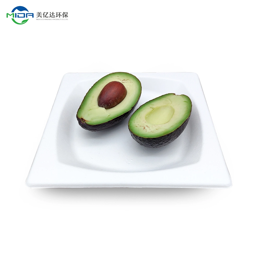 Eco-Friendly Sugarcane Square Plate Biodegradable Disposable Food Container Kitchenware Tableware