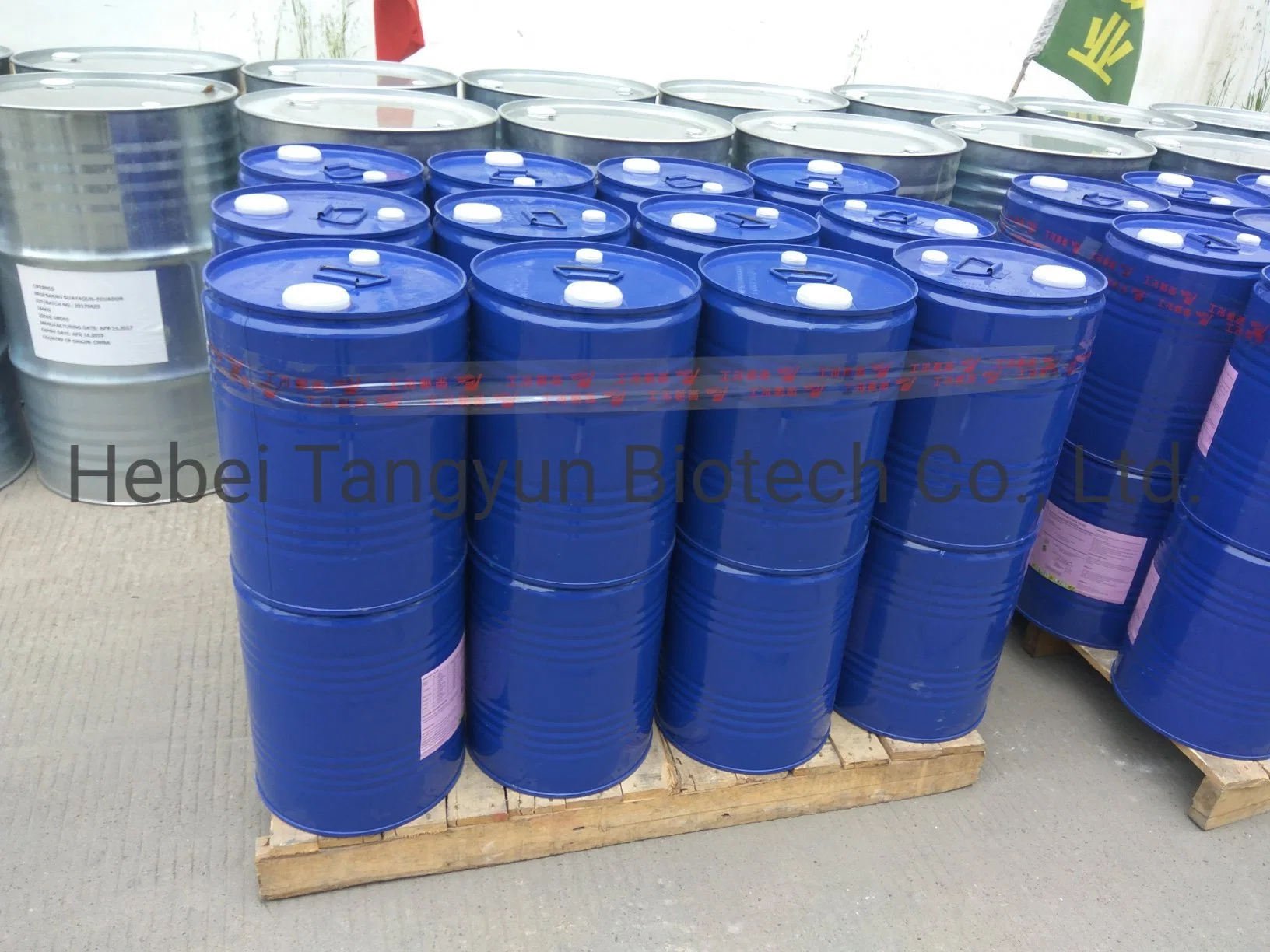 Insecticide with Factory Price Dimethoate 40%Ec Tangyun