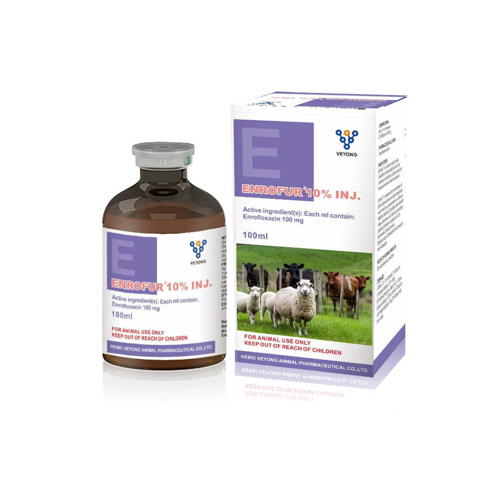 Poultry Medicine GMP Manufacturer / Supplier Enrofloxacin 10% Oral Liquid for Animal