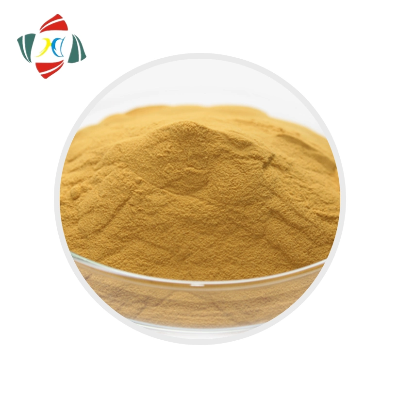 Wuhan Hhd Factory Honeysuckle Flower Extract 15%~98% Chlorogenic Acid