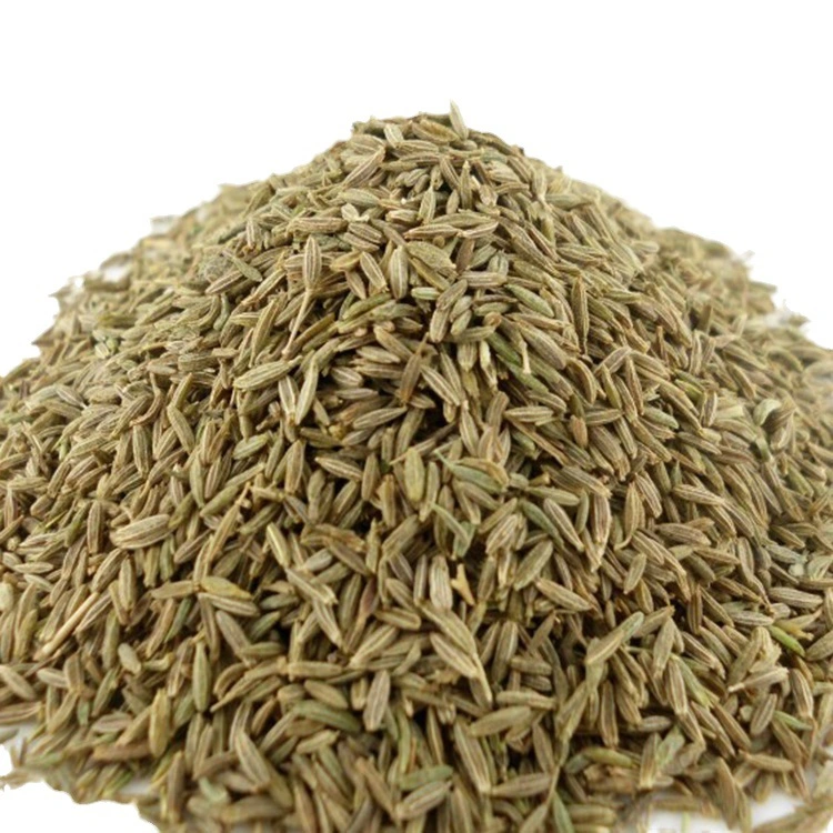 Semillas de comino suministro de semillas de cumin secas Especias con Precio de fábrica