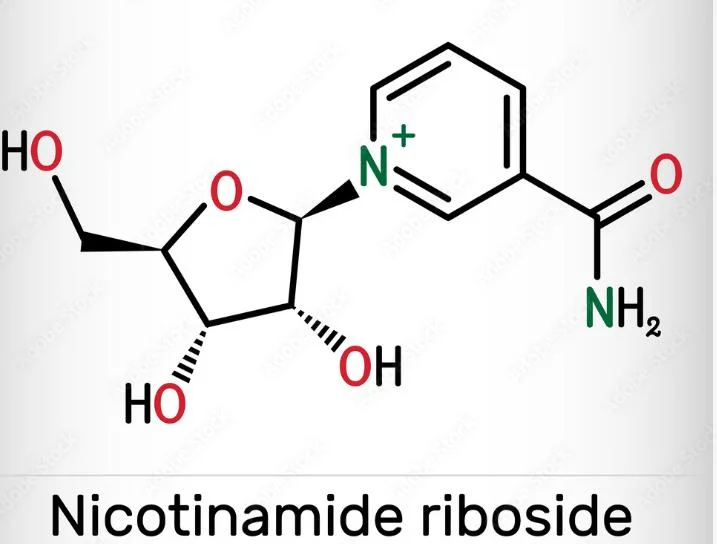 Anti vieillissement pur vrac NR Nmn poudre Nicotinamide riboside Chlorure