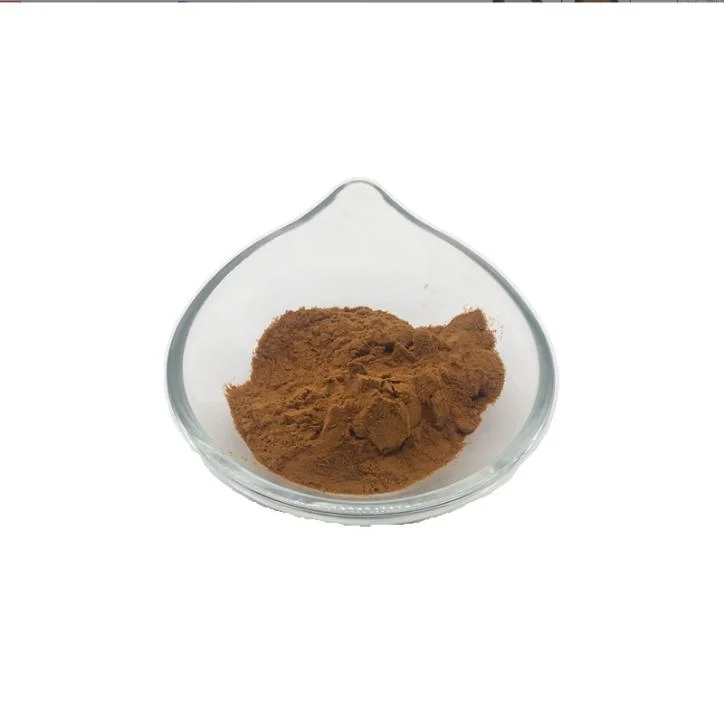 High Quality Food Grade Turkey Tail Mushroom Extract Turkey Tail Mushroom Extract