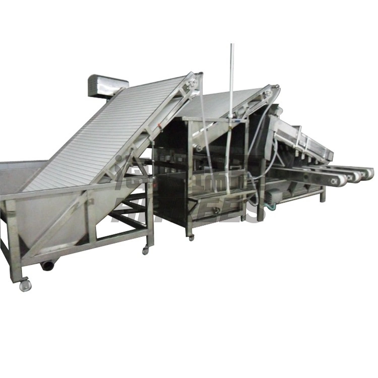 Automatic Shrimp Sorter Grader/Prawn Washing Sorting Machine/Shrimp Roller Grading Machine for Seafood Factory Using