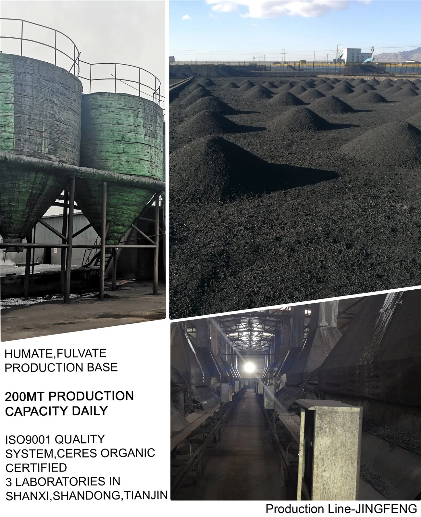 Factory Sale Various Plant Biological Fertilizer Humic Acid Potassium Humate for Fruit