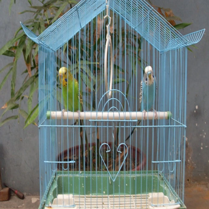 Factory Supply Large Metal Bird Cage with Plastic Trays