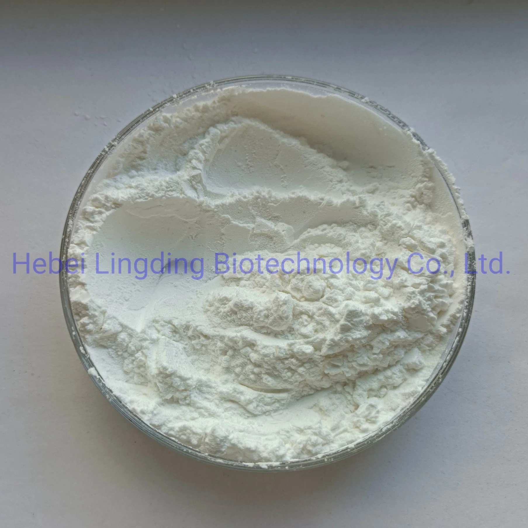 Ascorbyl Palmitate 137-66-6 High quality/High cost performance  and Competitive Price