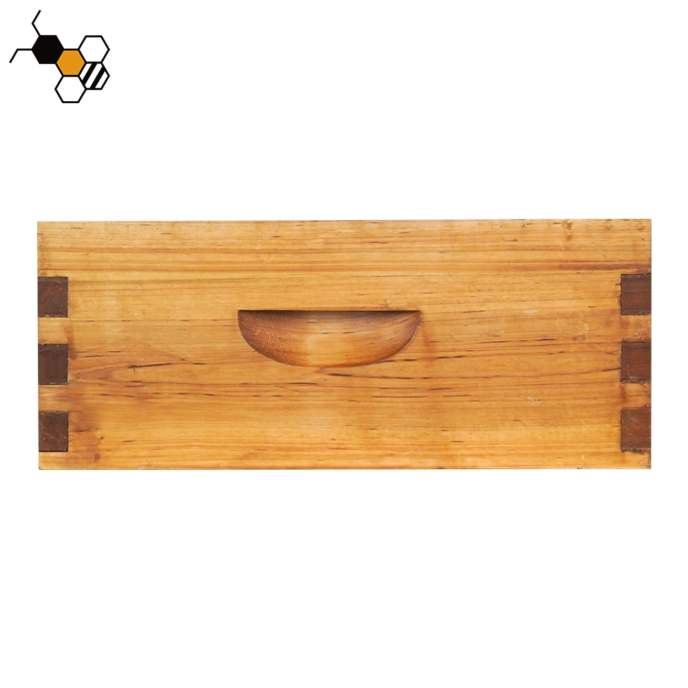 Bee Hive Box OEM/ODM 8 10 Frame Beehive Box