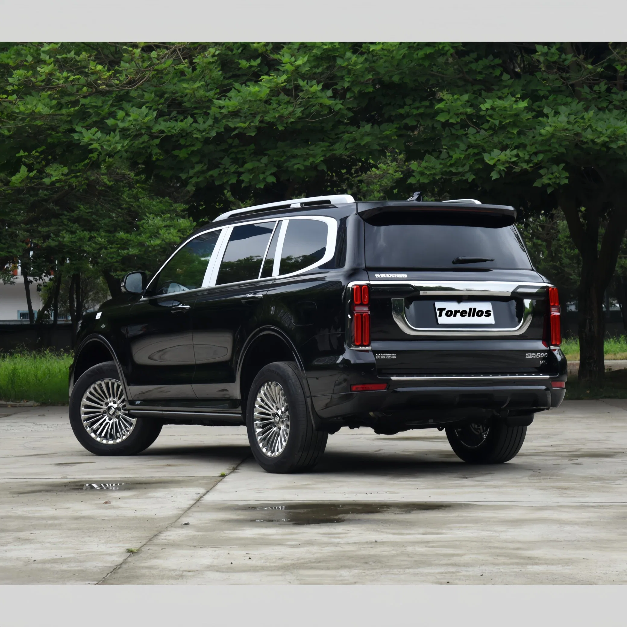 Tank 500 2023 Business Edition Landscape-Makando Tipo 7 plazas SUV de lujo Coche de gasolina