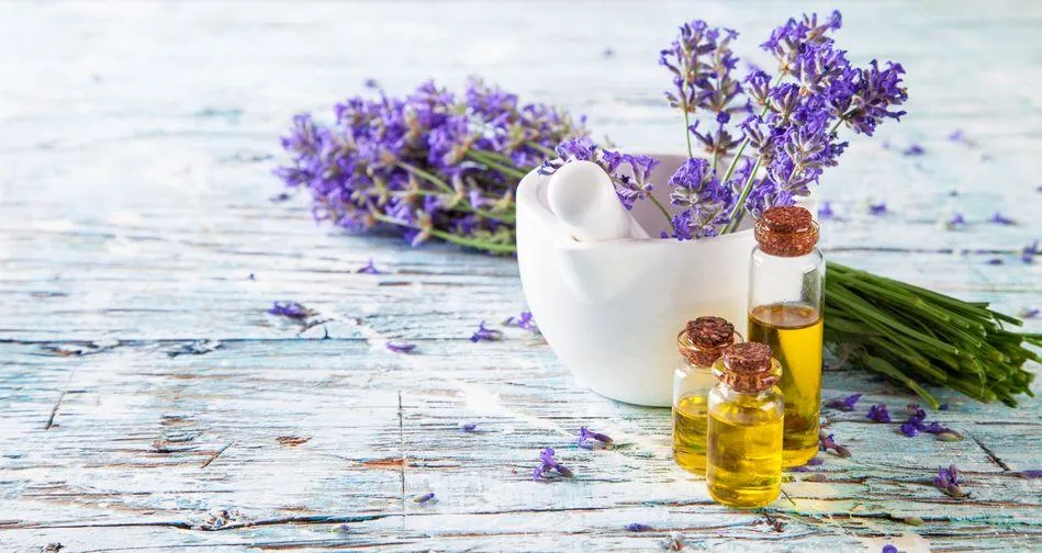 Óleo de Lavanda Natural China Privatr Exportação do Óleo Essencial de Rótulo