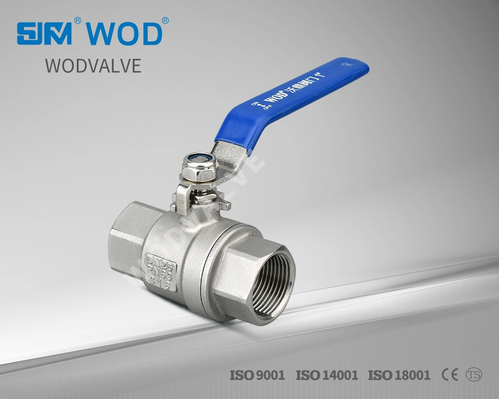 Dn100 2PC Stainless Steel 304 DIN3203-M3 Industrial Valve