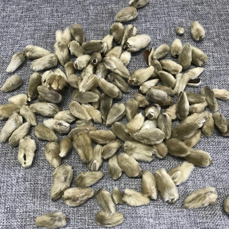 Xinyihua Natural Flavor Tea Dried Flos Magnoliae Flower Tea