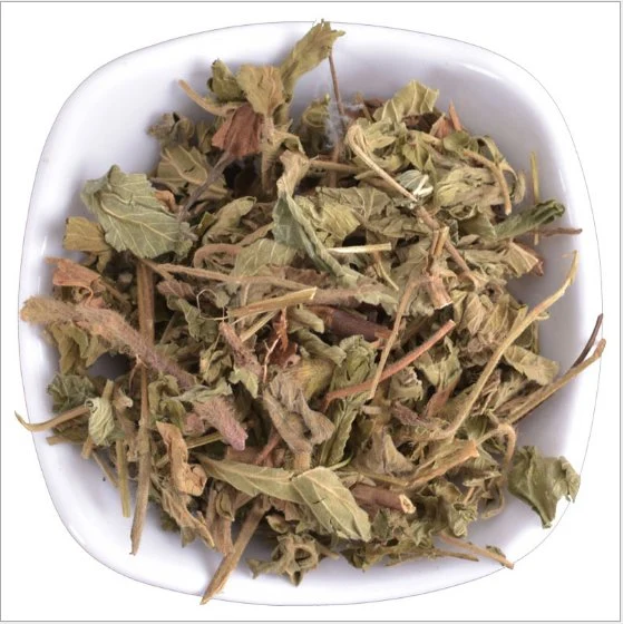 Xian He Cao GMP Agrimonia pilosa Natural Herbal Hairyvein Agrimony for Health