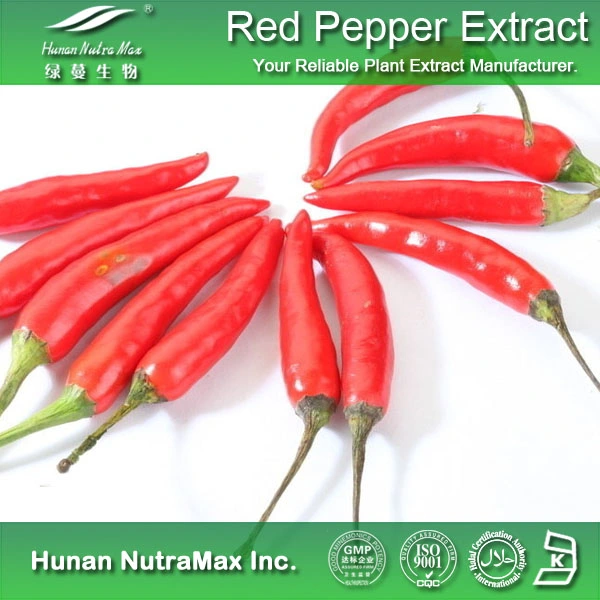 Перец чили порошок экстракт 1%~99% Capsaicin Capsaicinoids