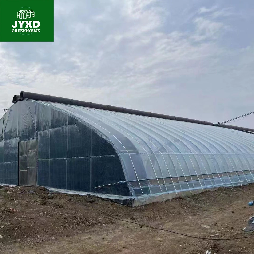 Modern Agriculture Multi-Span Customized Oval Tube Greenhouse with Hydroponics System Irrigation System for Vegetables Fruits Flowers Cucumber Cucumber