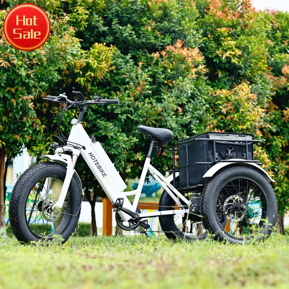 Hotebike 3 roue electric bike Trike 20pouces pneu Fat 3 roue Tricycle électrique trois roues de vélo électrique du fret pour adultes