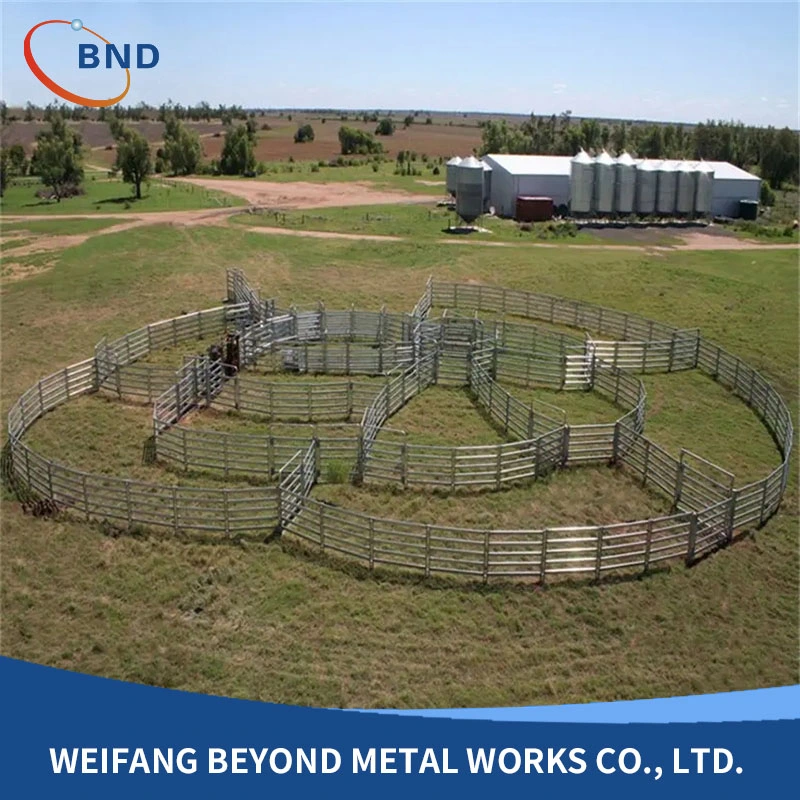 Galvanized Sheep Panel Cattle Horse Panel and Gate Metal Fence Panel for Livestock with Australia Canada Standerd