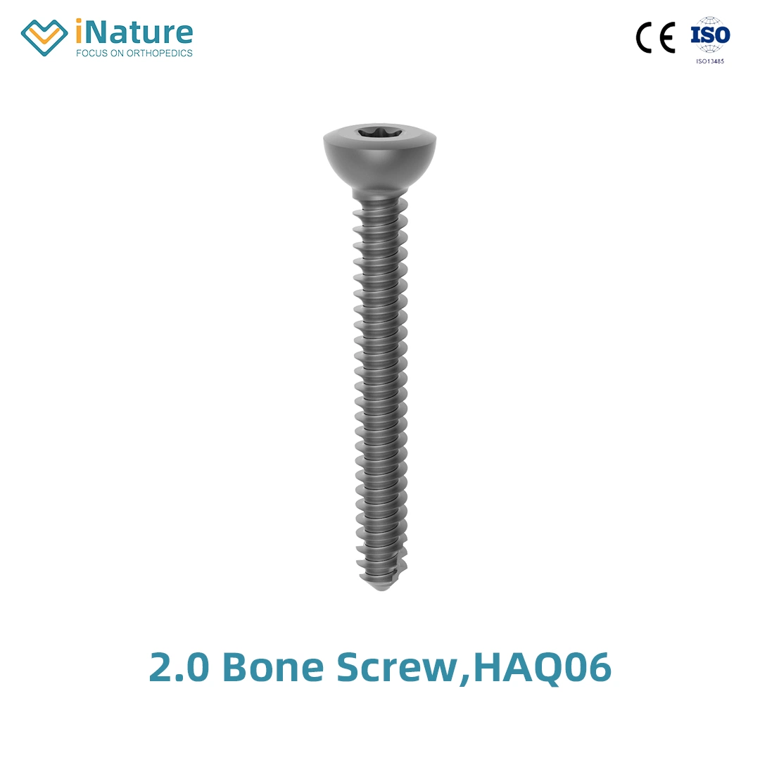 Anterior Cervical Locking Plate and Screw Spine Implant