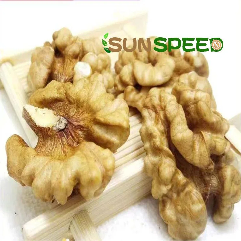 China Wholesale/Supplier Walnuts185 in Shell Kernel Thin-Skin Walnut