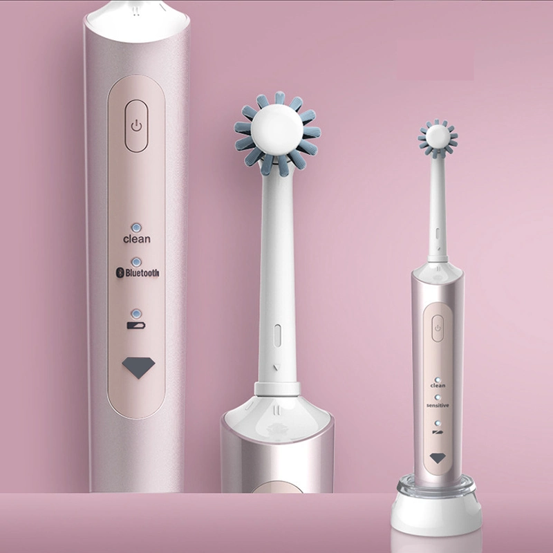 OEM Wholesale/Supplier New Arrivals Electric Toothbrush New Toothbrush