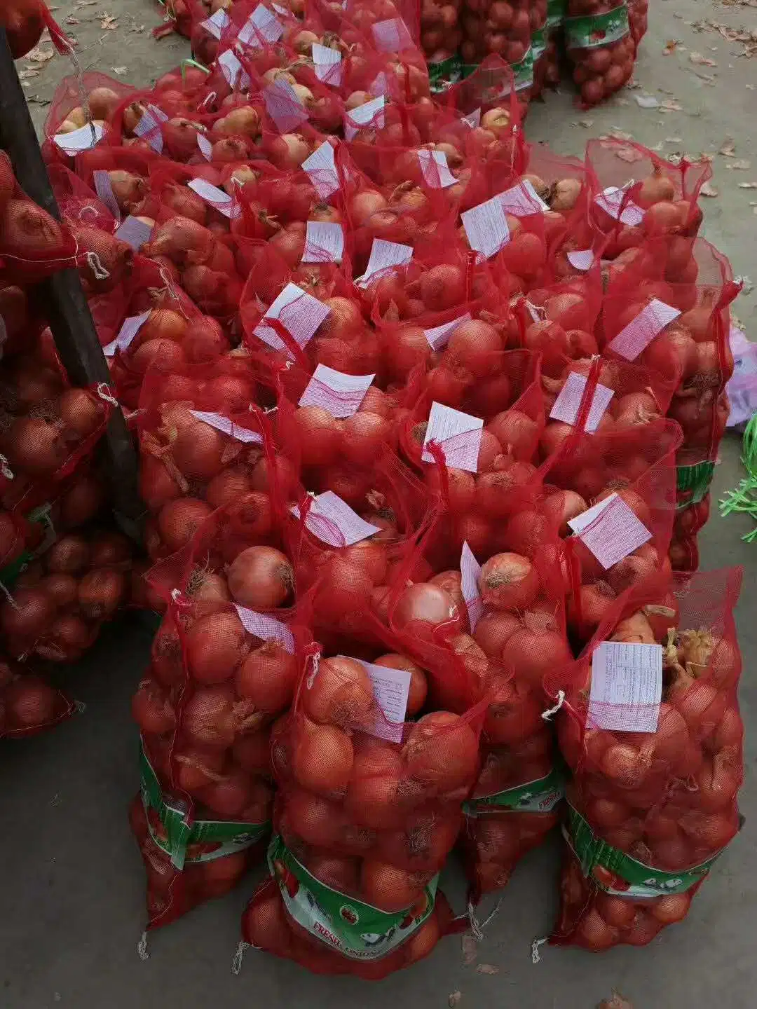 Whole Wholesale/Supplier Red Yellow White Green Skin Crop Peeled Purple Organic Frozen Fresh Vegetable Onion Price From Factory Supplier