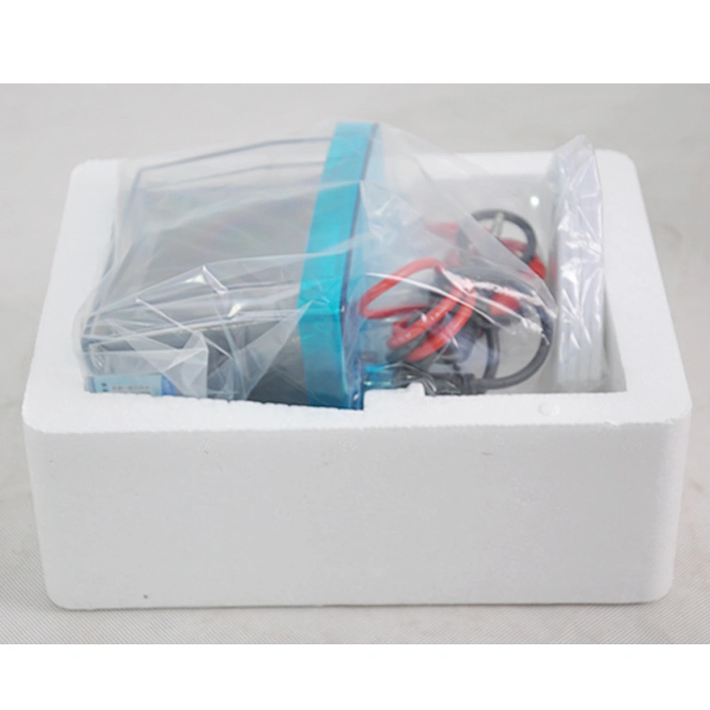 Mini Gometal Electrophoresis Tank