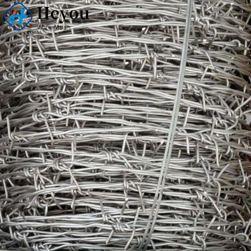 Made in Anping 300mm 400mm 500mm Electro/Hot Dipped Galvanized and PVC Coated Bto-22 Cbt-60 Cbt-65 Concertina Razor Barbed Wire for Farming