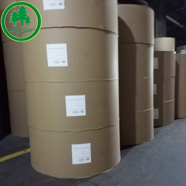 Liquid Packaging Board/Food Grade Board/210GSM Liquid Packaging Paper Board