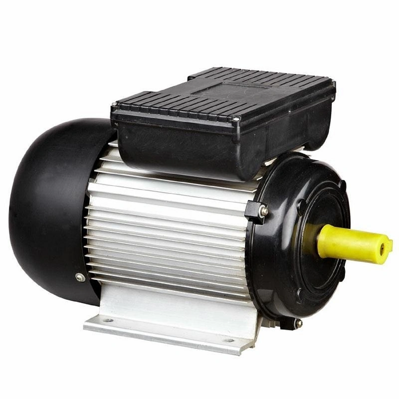 Yl801-2 (0.75KW) IEC Standard 2800rpm Dual Capacitor Induction Motor for Pump Compressors with CCC CE and ISO 9001 OEM ODM Obm